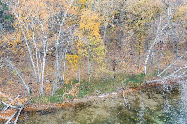 $695,000 | Tbd Strawberry Lake Road, Pequot Lakes, MN 56472