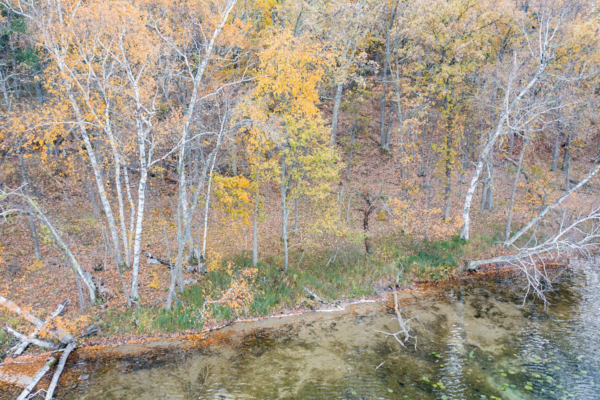 Tbd Strawberry Lake Road Pequot Lakes, MN 56472 - Photo 7 of 14