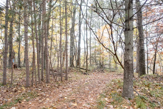 $695,000 | Tbd Strawberry Lake Road, Pequot Lakes, MN 56472