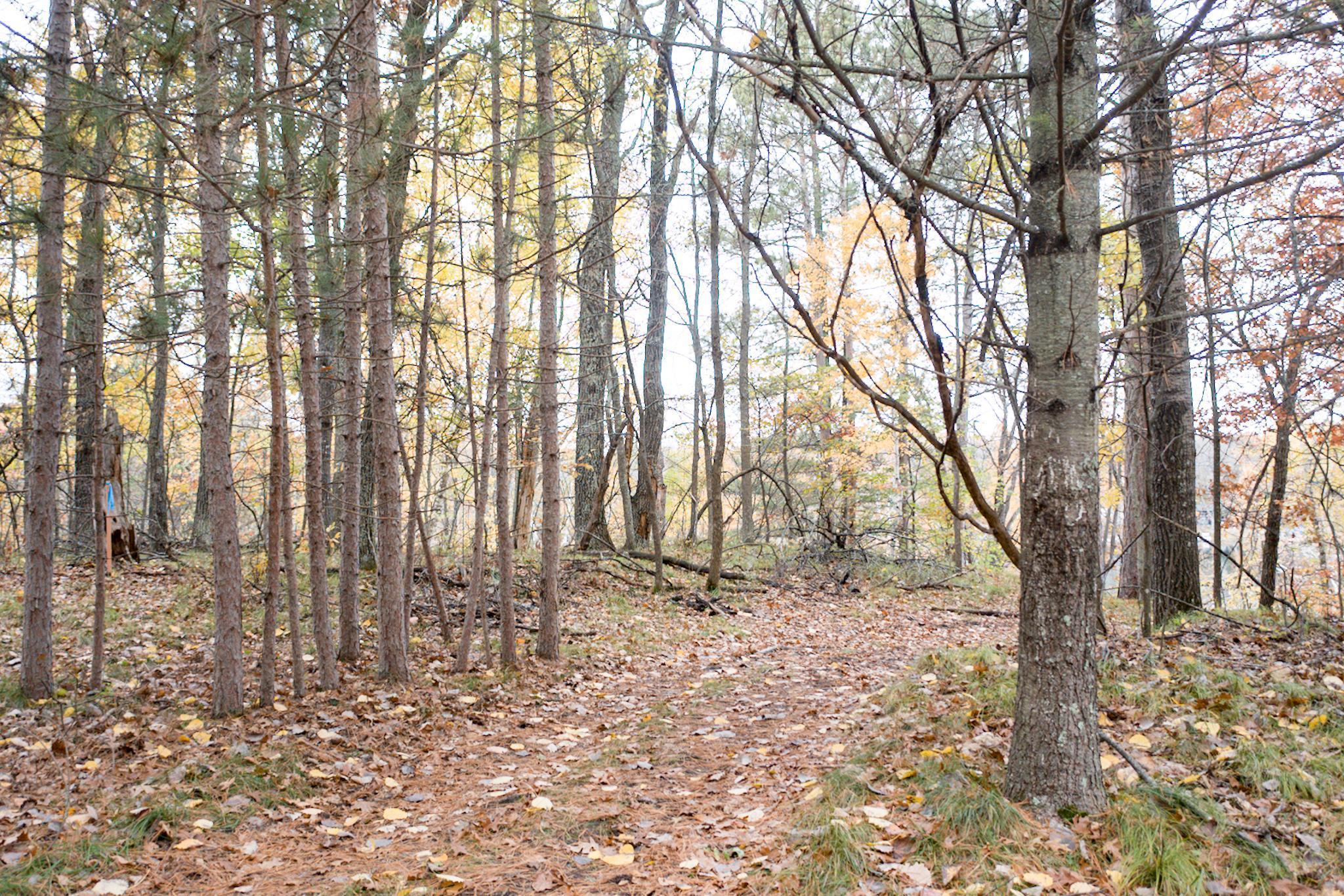 Tbd Strawberry Lake Road Pequot Lakes, MN 56472 - Photo 9 of 14