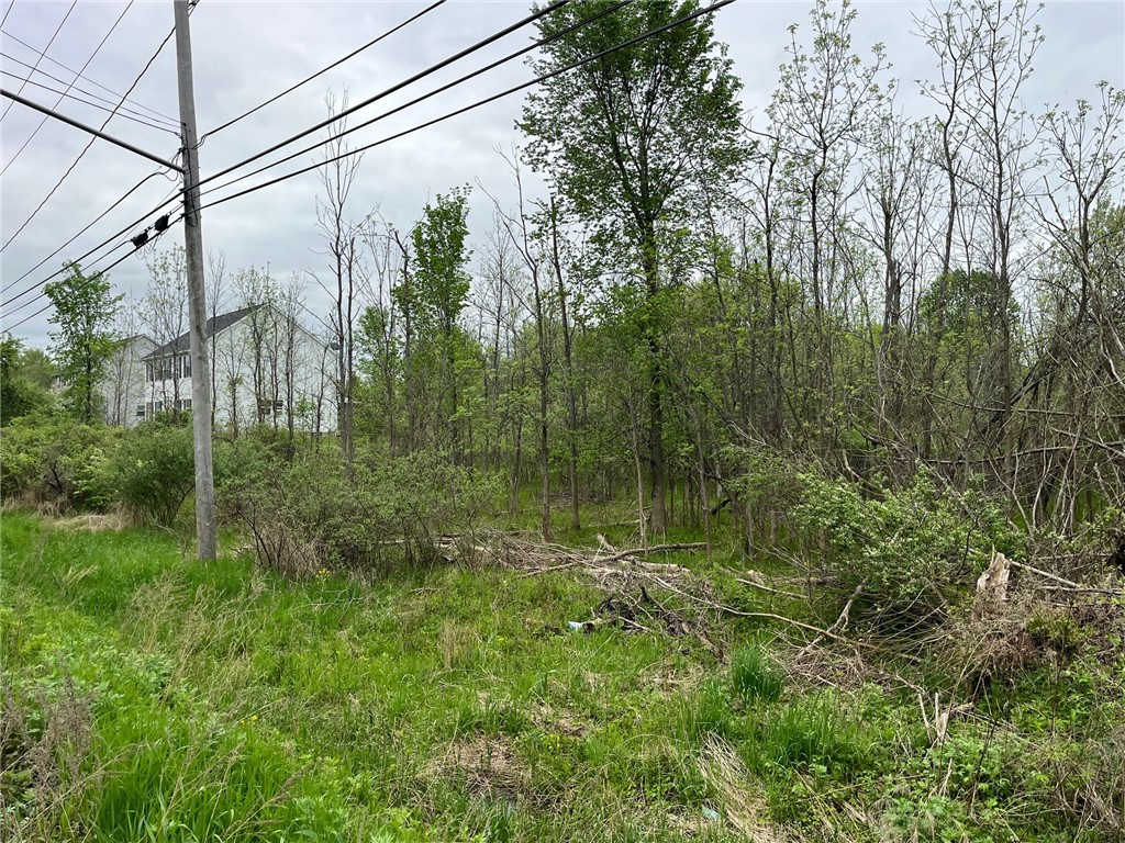 5670 Thompson Road Clarence, NY 14032 - Photo 8 of 11