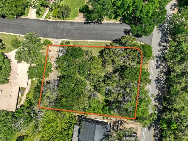 an aerial view of a garden with plants