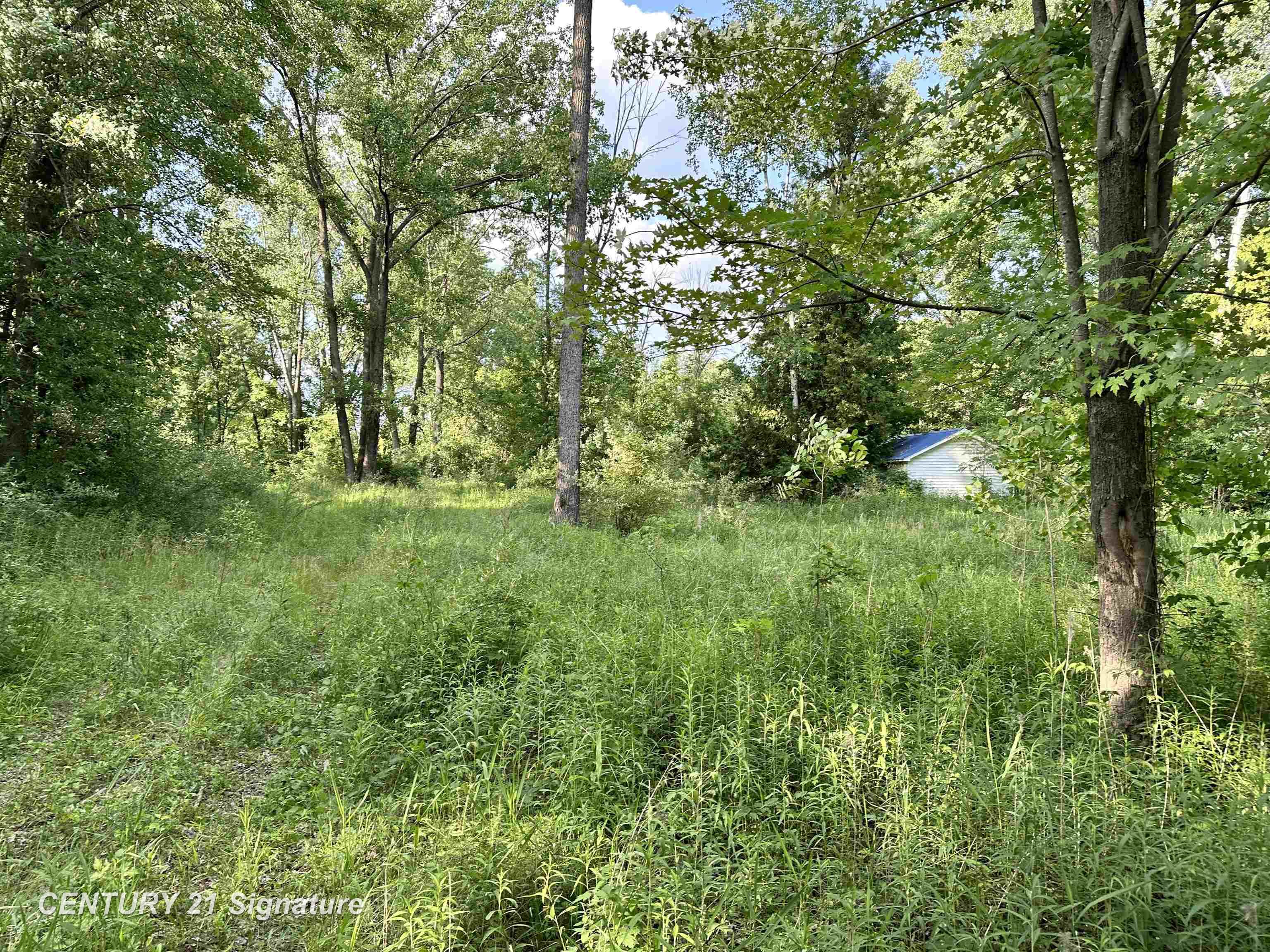 4020 Wieman Road Beaverton, MI 48612 - Photo 1 of 17