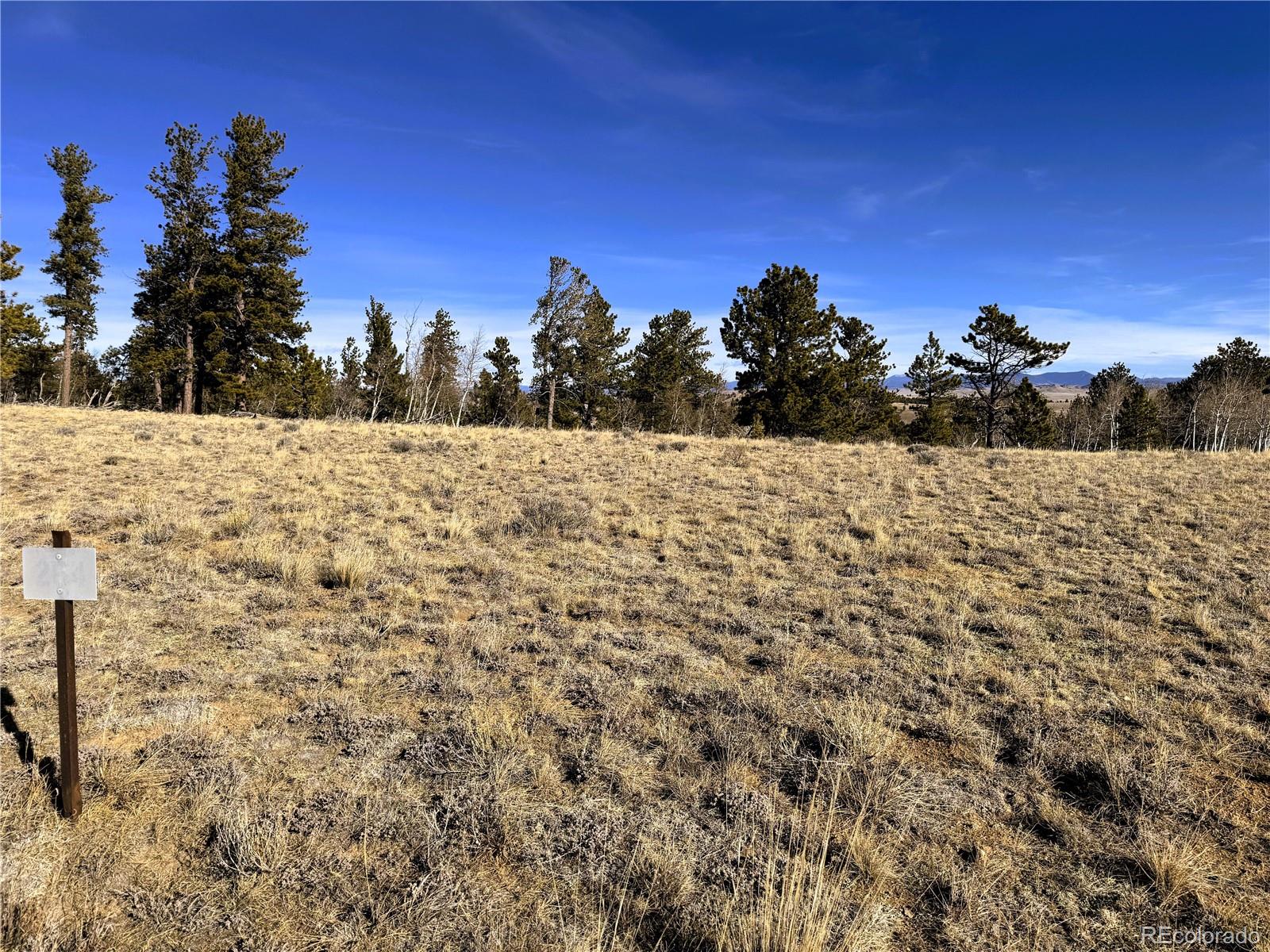 620 Wagon Wheel Road Hartsel, CO 80449 - Photo 14 of 21