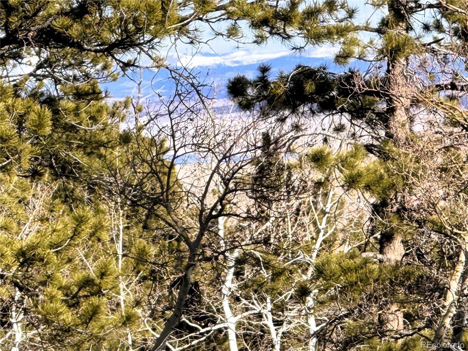 620 Wagon Wheel Road Hartsel, CO 80449 - Photo 15 of 21