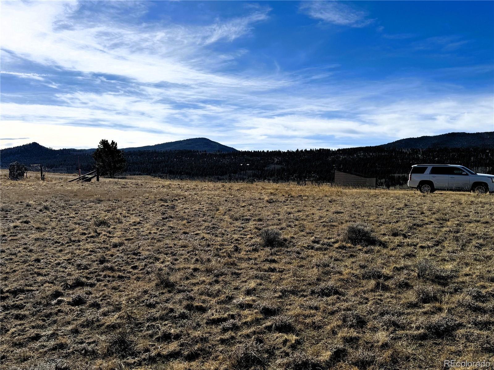 620 Wagon Wheel Road Hartsel, CO 80449 - Photo 18 of 21