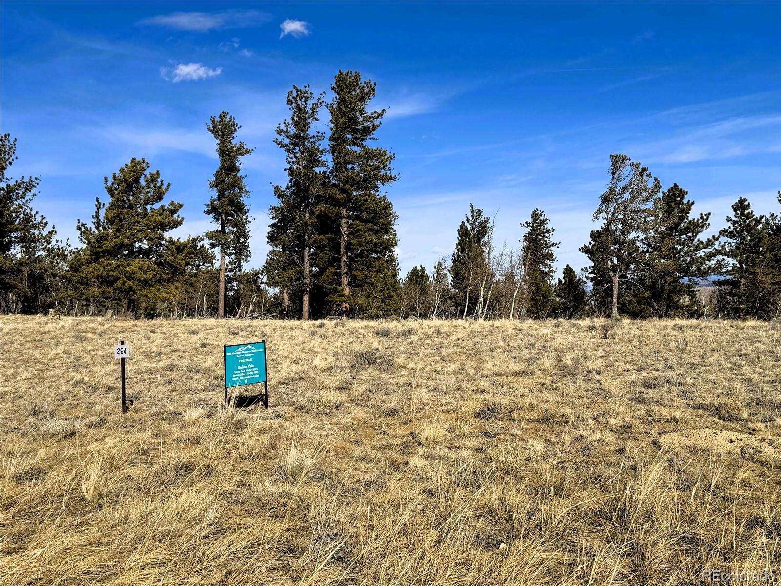 620 Wagon Wheel Road Hartsel, CO 80449 - Photo 20 of 21