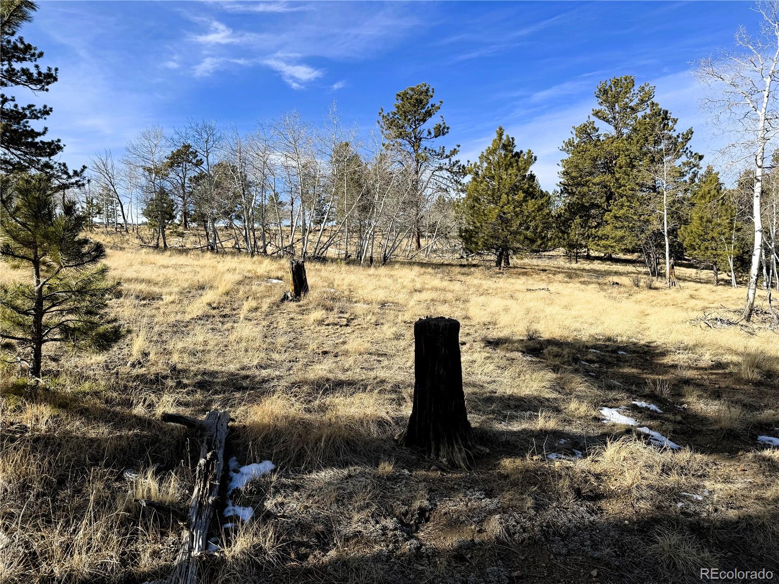 620 Wagon Wheel Road Hartsel, CO 80449 - Photo 4 of 21