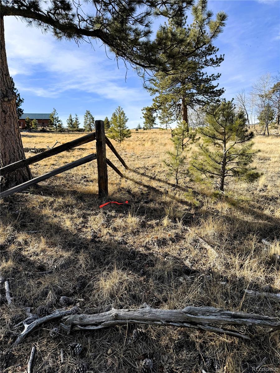 620 Wagon Wheel Road Hartsel, CO 80449 - Photo 5 of 21