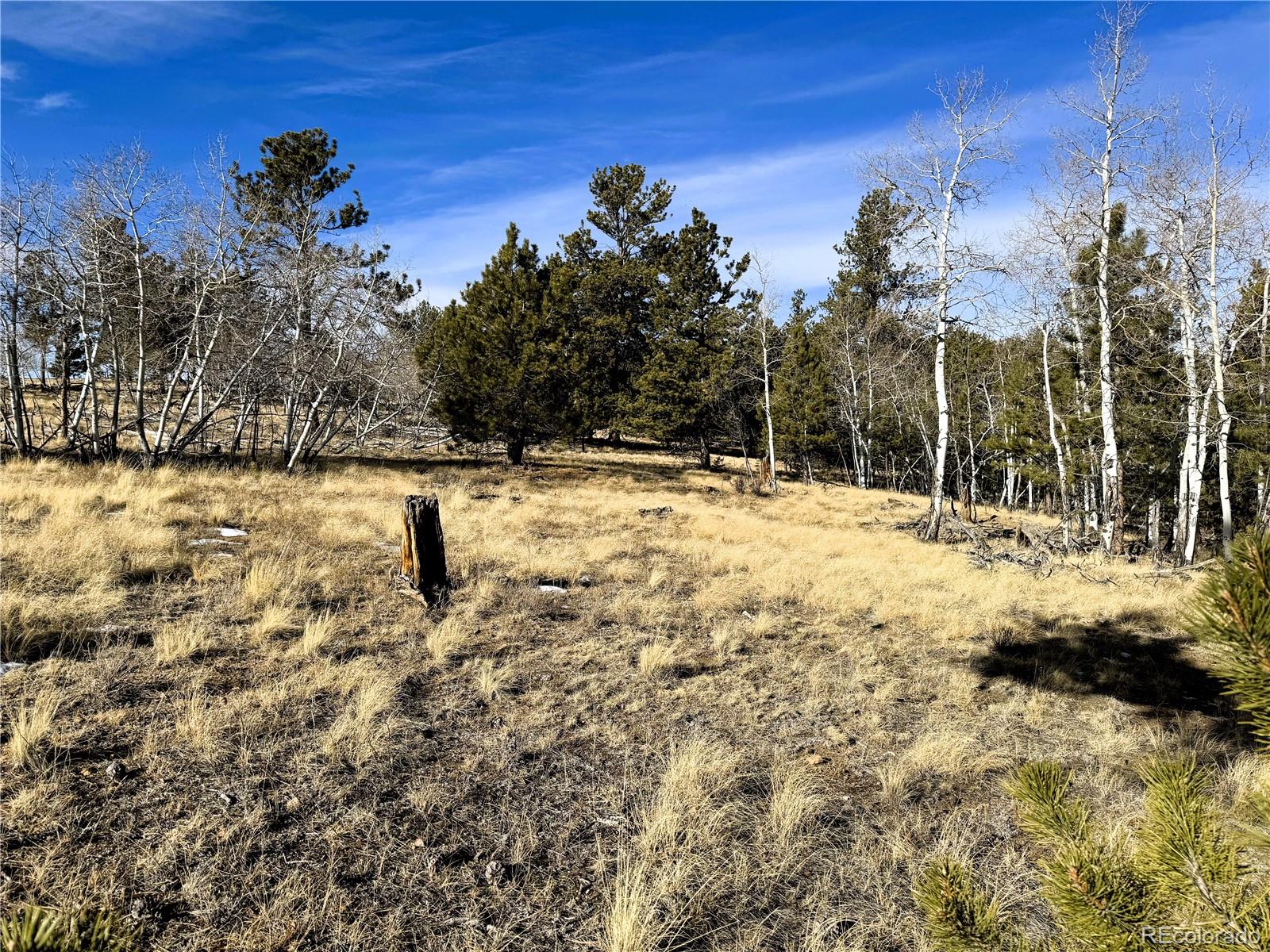 620 Wagon Wheel Road Hartsel, CO 80449 - Photo 6 of 21