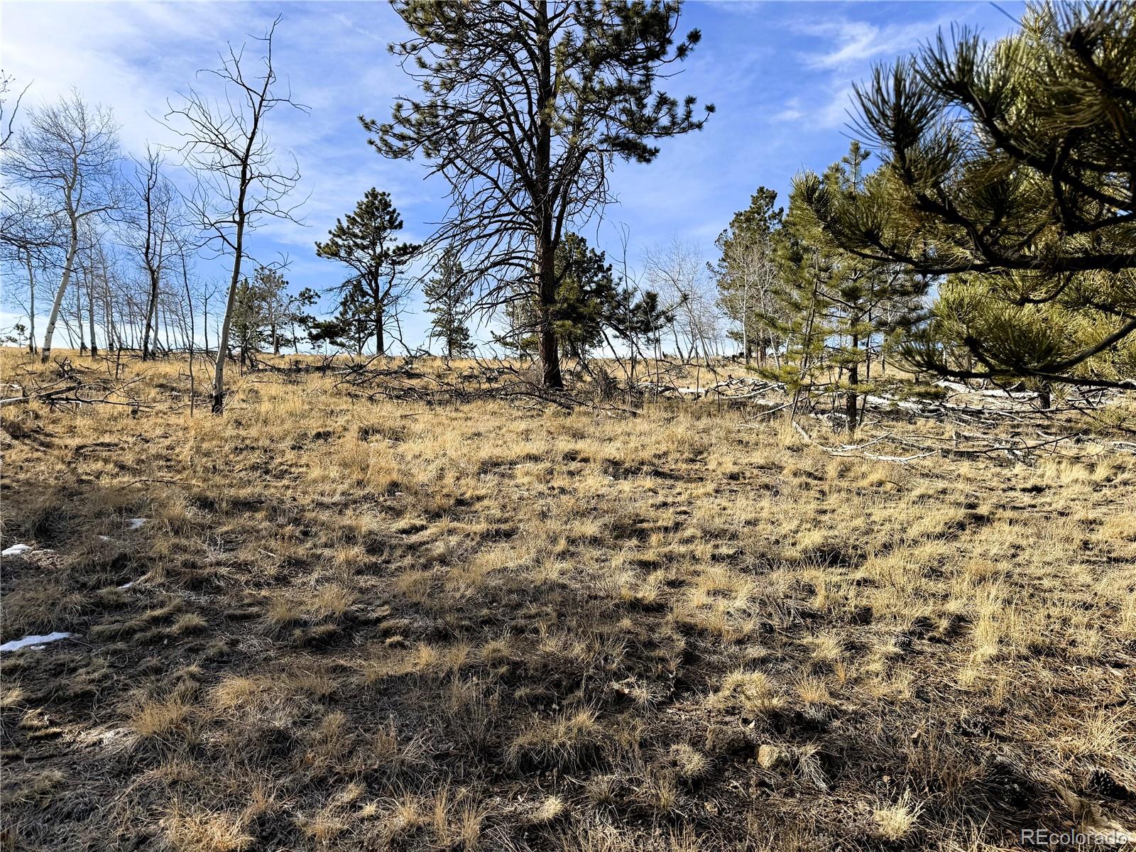 620 Wagon Wheel Road Hartsel, CO 80449 - Photo 7 of 21