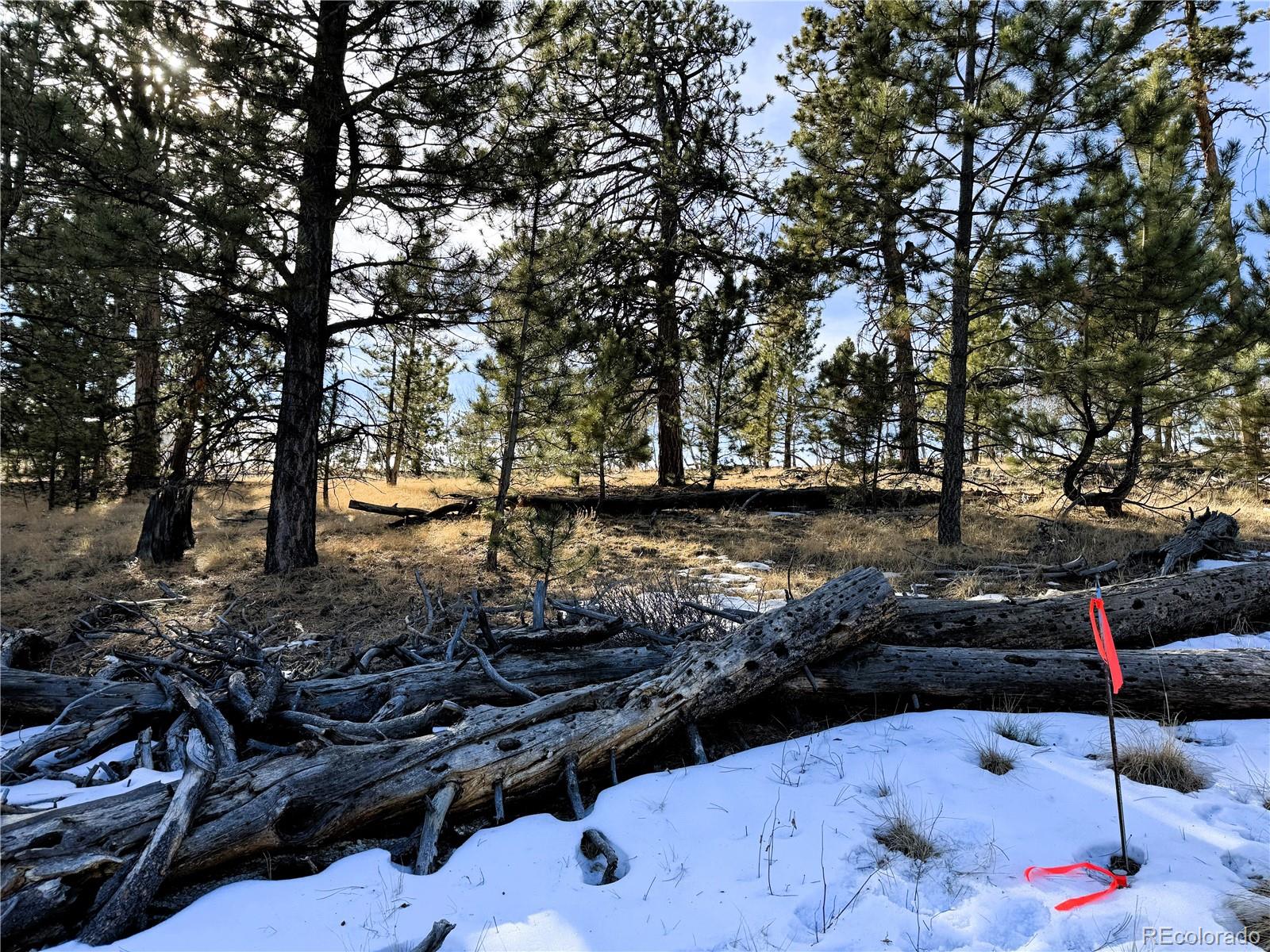 620 Wagon Wheel Road Hartsel, CO 80449 - Photo 9 of 21