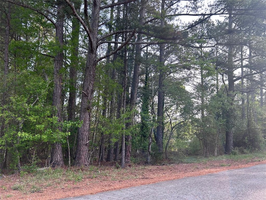 A tranquil wooded lot awaits, offering serene natural beauty and potential for your dream home.