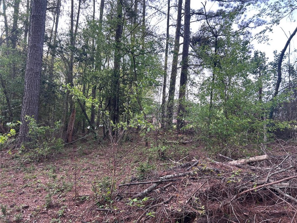 113 Leon Drive Anderson, SC 29621 - Photo 11 of 13 This verdant, wooded lot offers an ideal setting for a private retreat.