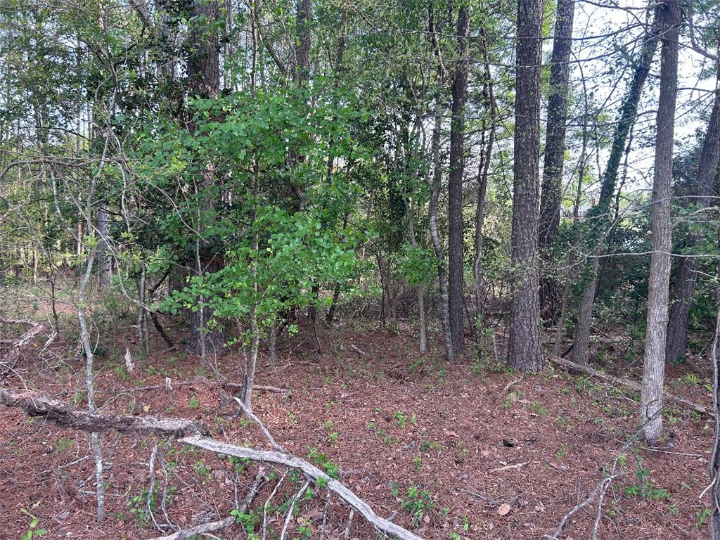 113 Leon Drive Anderson, SC 29621 - Photo 12 of 13 This verdant expanse offers a serene, natural setting with mature trees, perfect for a private retreat.