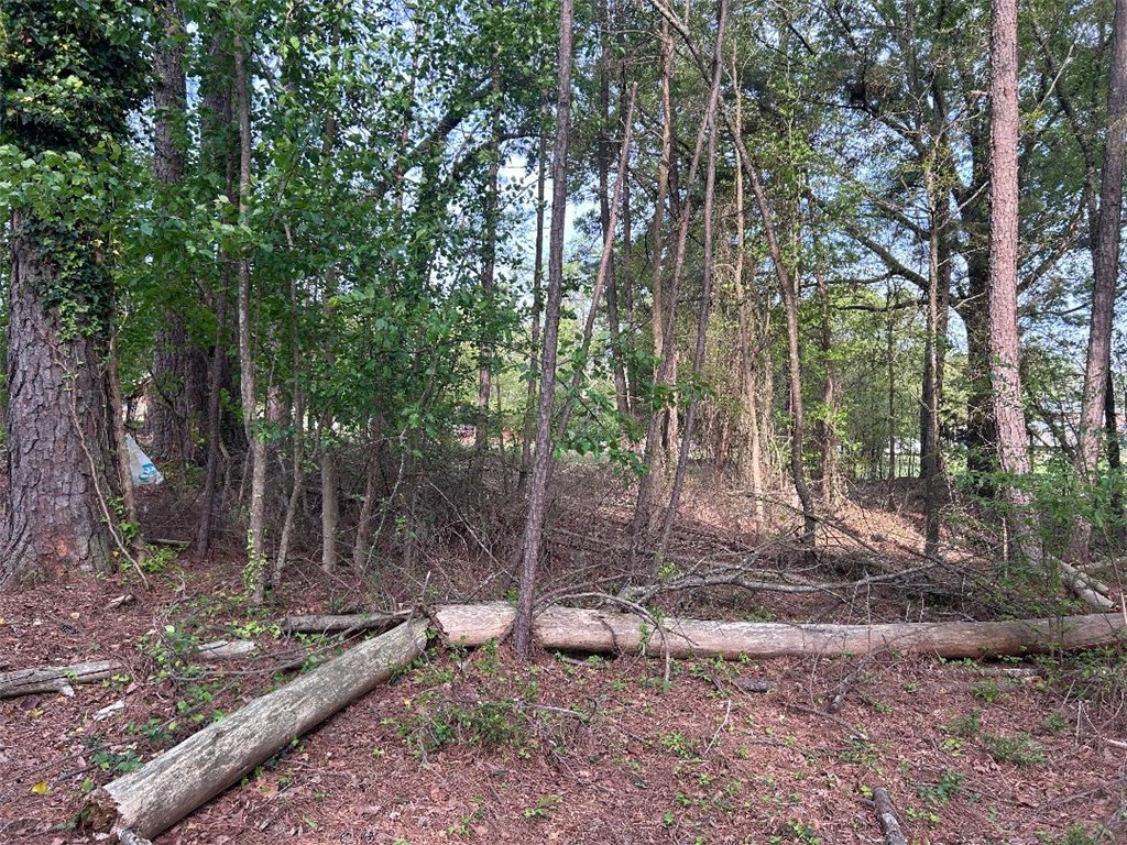 113 Leon Drive Anderson, SC 29621 - Photo 13 of 13 A tranquil wooded lot offers a peaceful retreat for your future home.