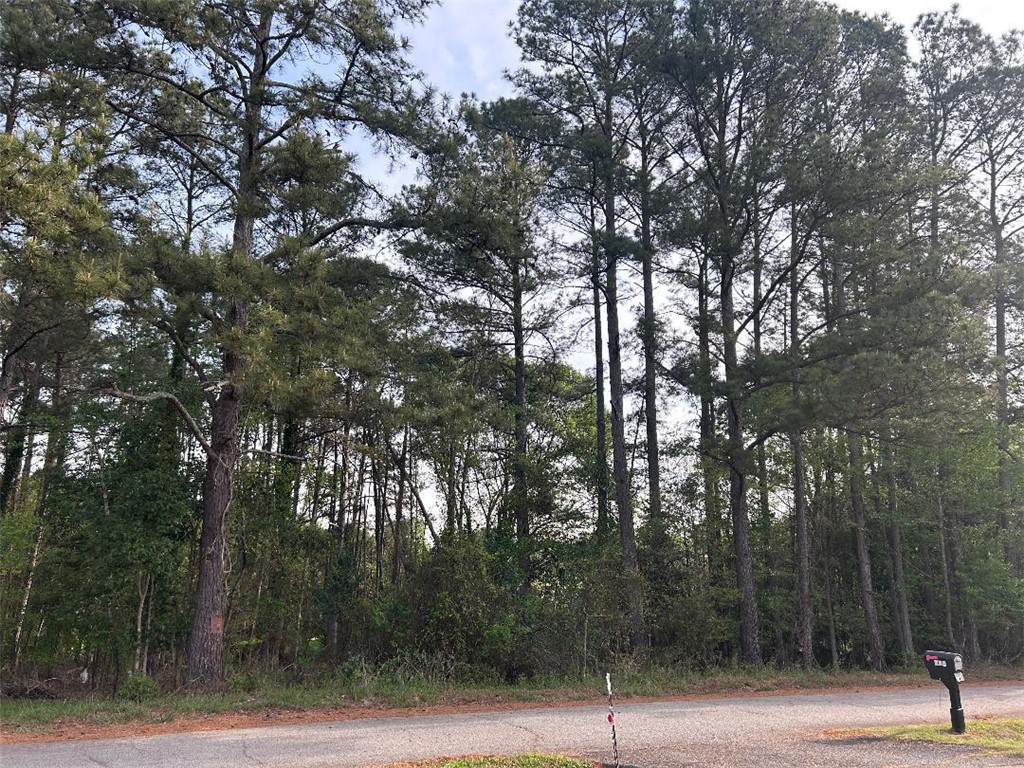113 Leon Drive Anderson, SC 29621 - Photo 2 of 13 Mature trees frame this expansive lot, offering a natural setting and ample privacy for your future home.