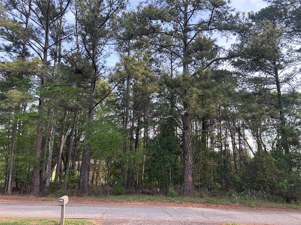 113 Leon Drive Anderson, SC 29621 - Photo 3 of 13 Mature trees define the natural boundary of this peaceful property.