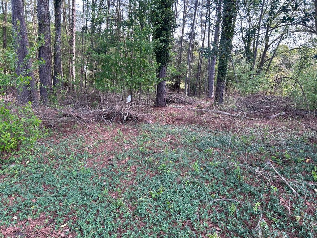 113 Leon Drive Anderson, SC 29621 - Photo 4 of 13 This tranquil lot provides a private natural setting, perfect for building your dream home.