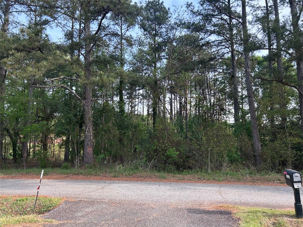 113 Leon Drive Anderson, SC 29621 - Photo 5 of 13 Mature trees frame this verdant lot, offering a natural setting for your future home.