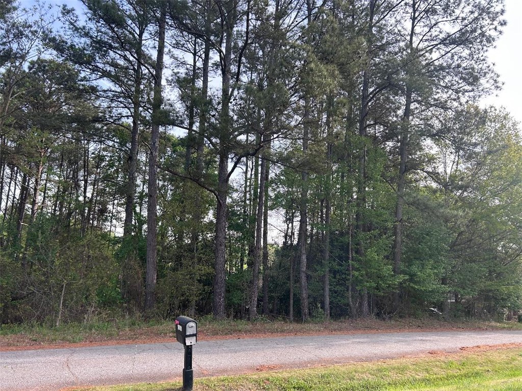 113 Leon Drive Anderson, SC 29621 - Photo 6 of 13 This verdant lot offers a serene setting for a future home.