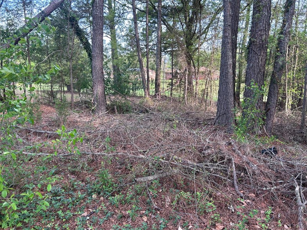 113 Leon Drive Anderson, SC 29621 - Photo 7 of 13 This undeveloped land provides a peaceful, private setting with abundant trees, ready for your vision.