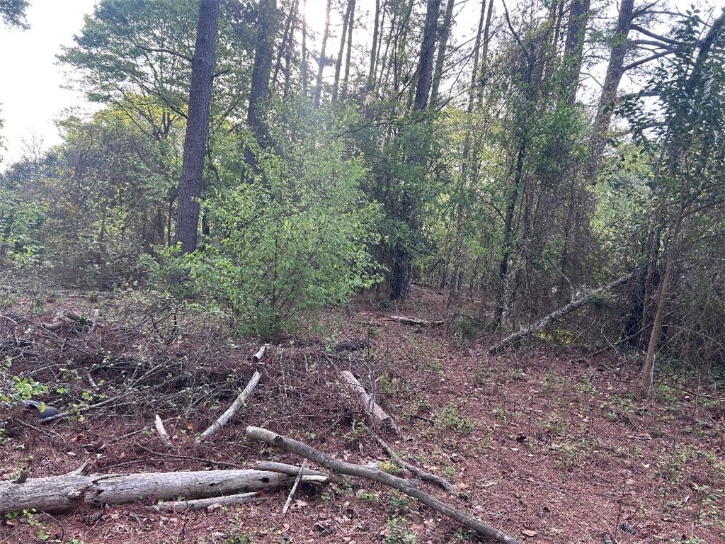 113 Leon Drive Anderson, SC 29621 - Photo 8 of 13 A tranquil wooded lot offers a peaceful retreat for your future home.