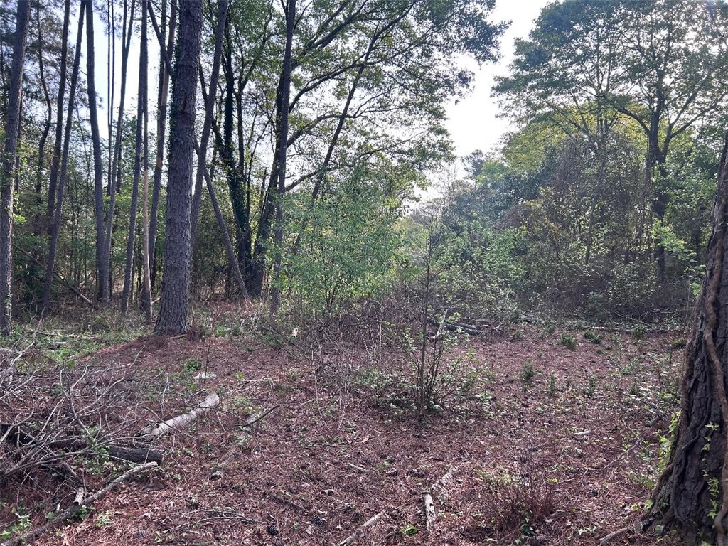 113 Leon Drive Anderson, SC 29621 - Photo 9 of 13 This tranquil wooded property offers a serene natural setting, perfect for your future home.