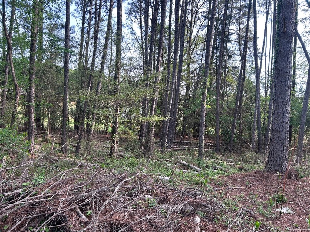 113 Leon Drive Anderson, SC 29621 - Photo 10 of 13 This tranquil wooded property offers abundant natural beauty and privacy.