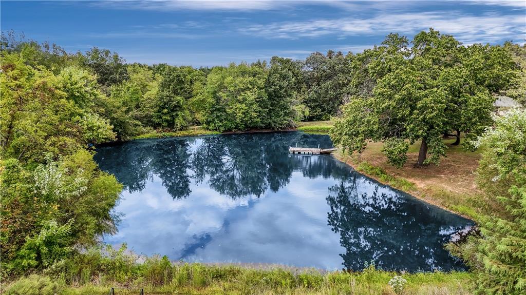 1017 Northeast 250 Road Knob Noster, MO 65336 - Photo 8 of 57