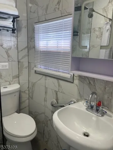 a bathroom with a sink and a toilet