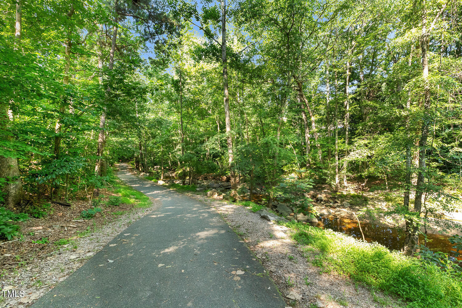 7002 Longstreet Drive, Unit C Raleigh, NC 27615 - Photo 30 of 31 a view of a forest with a tree