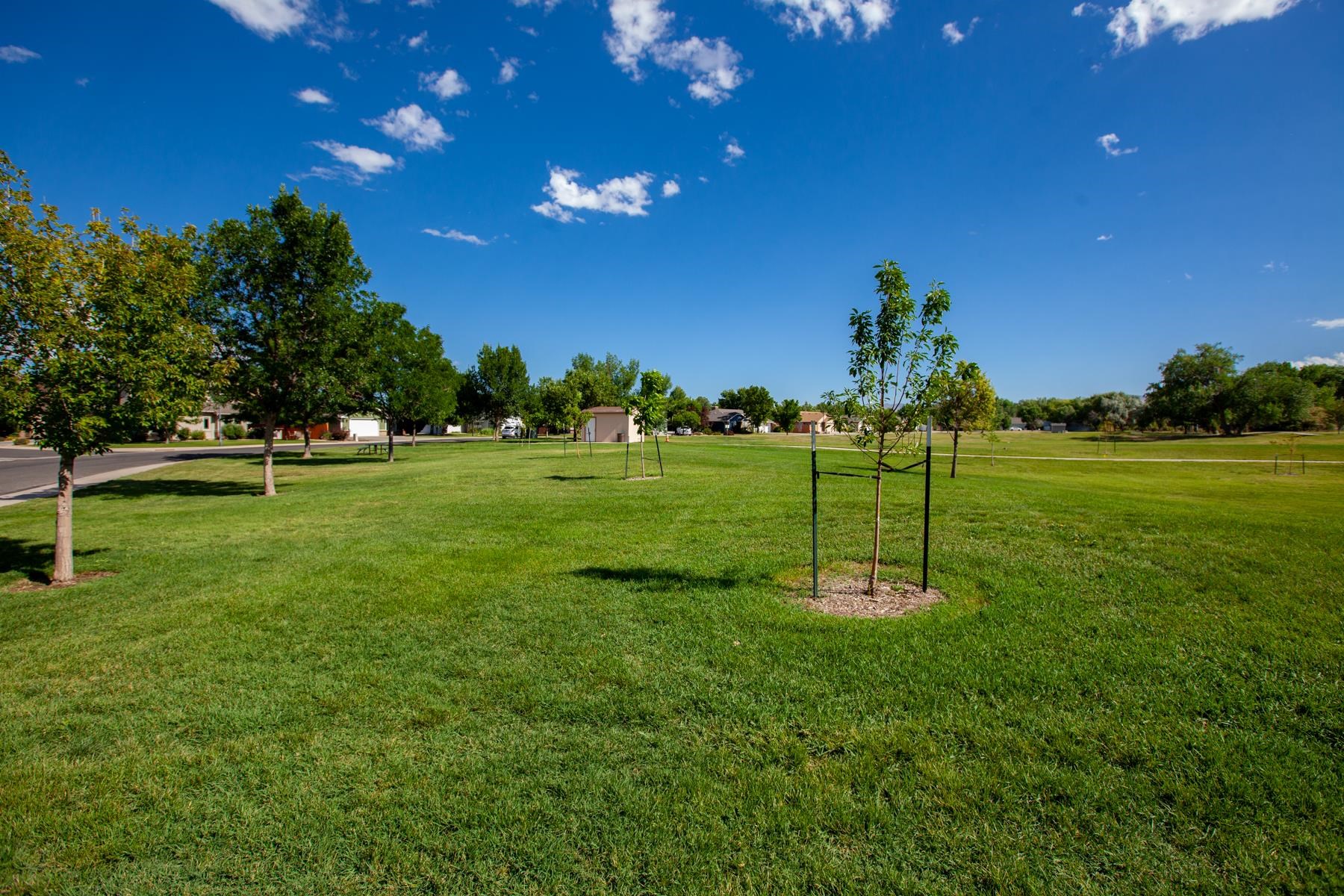 607 Saffron Way Grand Junction, CO 81505 - Photo 42 of 42