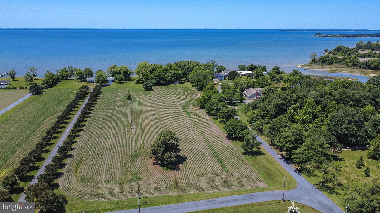 Curley Ridge, MD 20680 - Photo 1 of 12