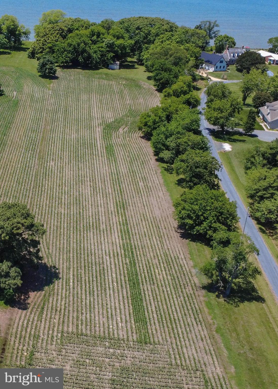 Curley Ridge, MD 20680 - Photo 11 of 12