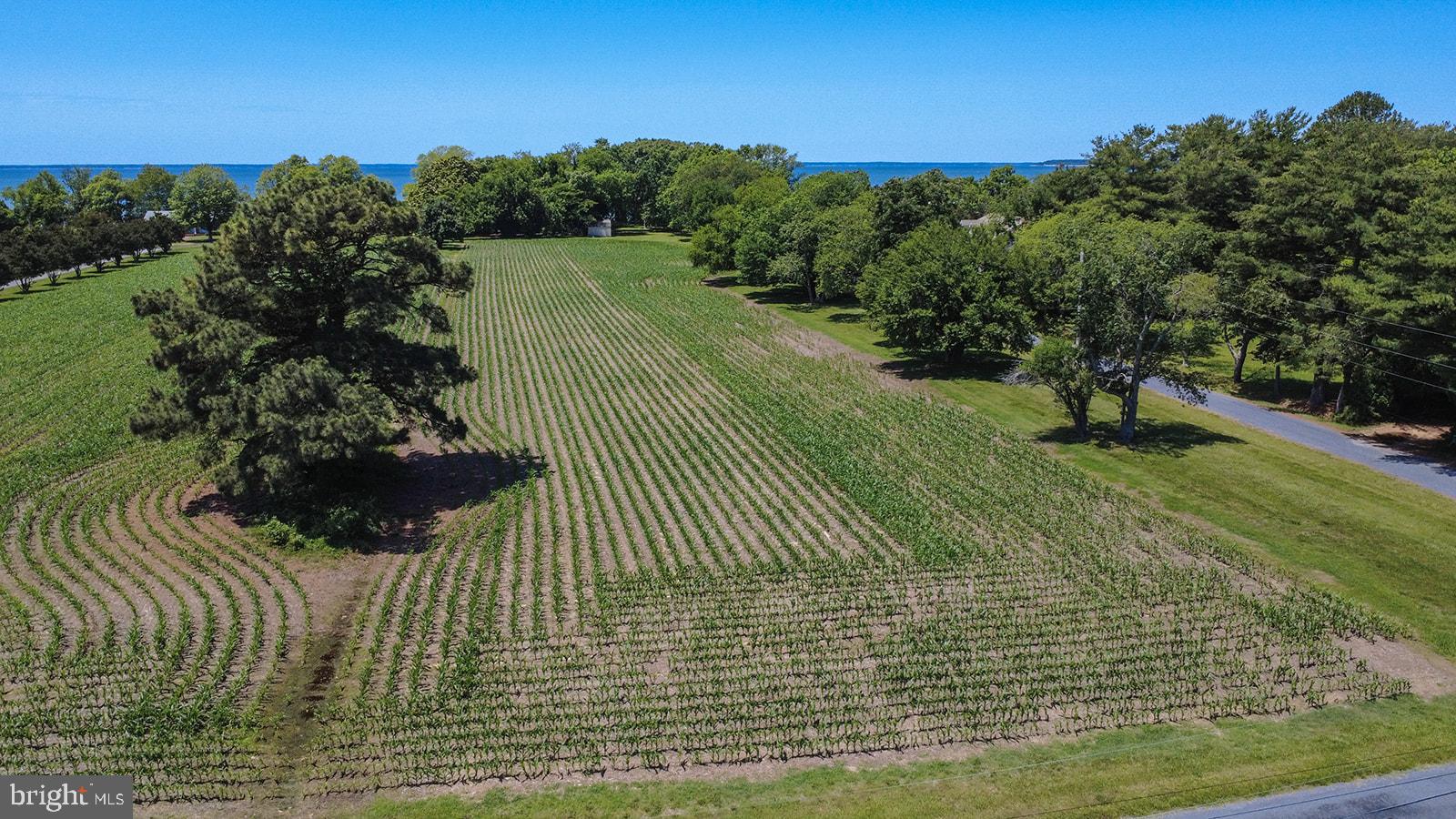 Curley Ridge, MD 20680 - Photo 2 of 12