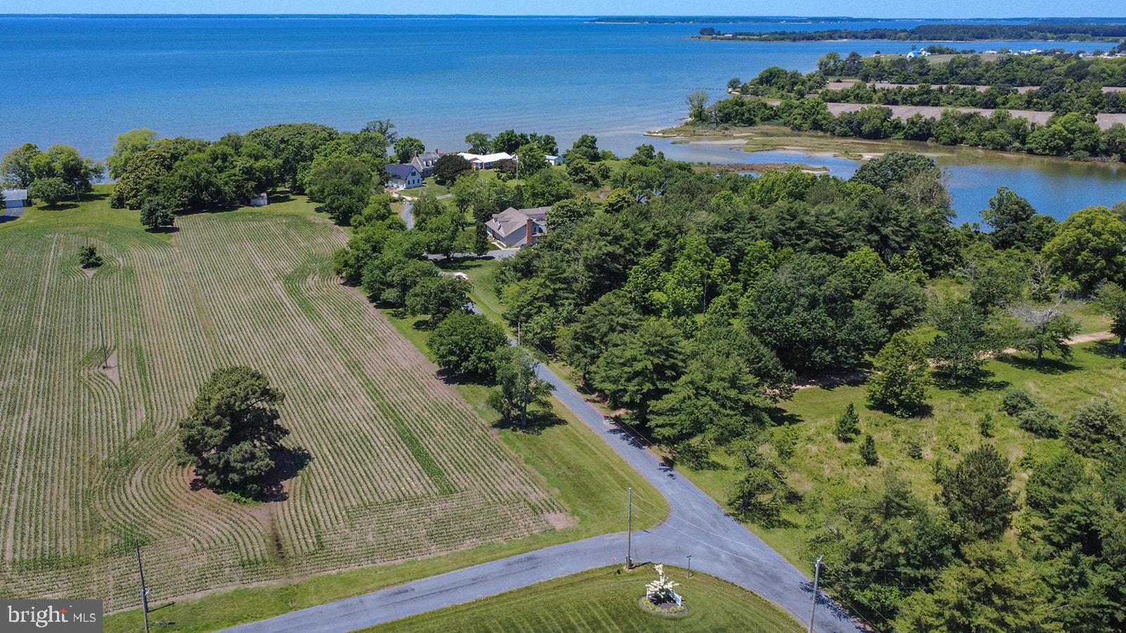 Curley Ridge, MD 20680 - Photo 3 of 12