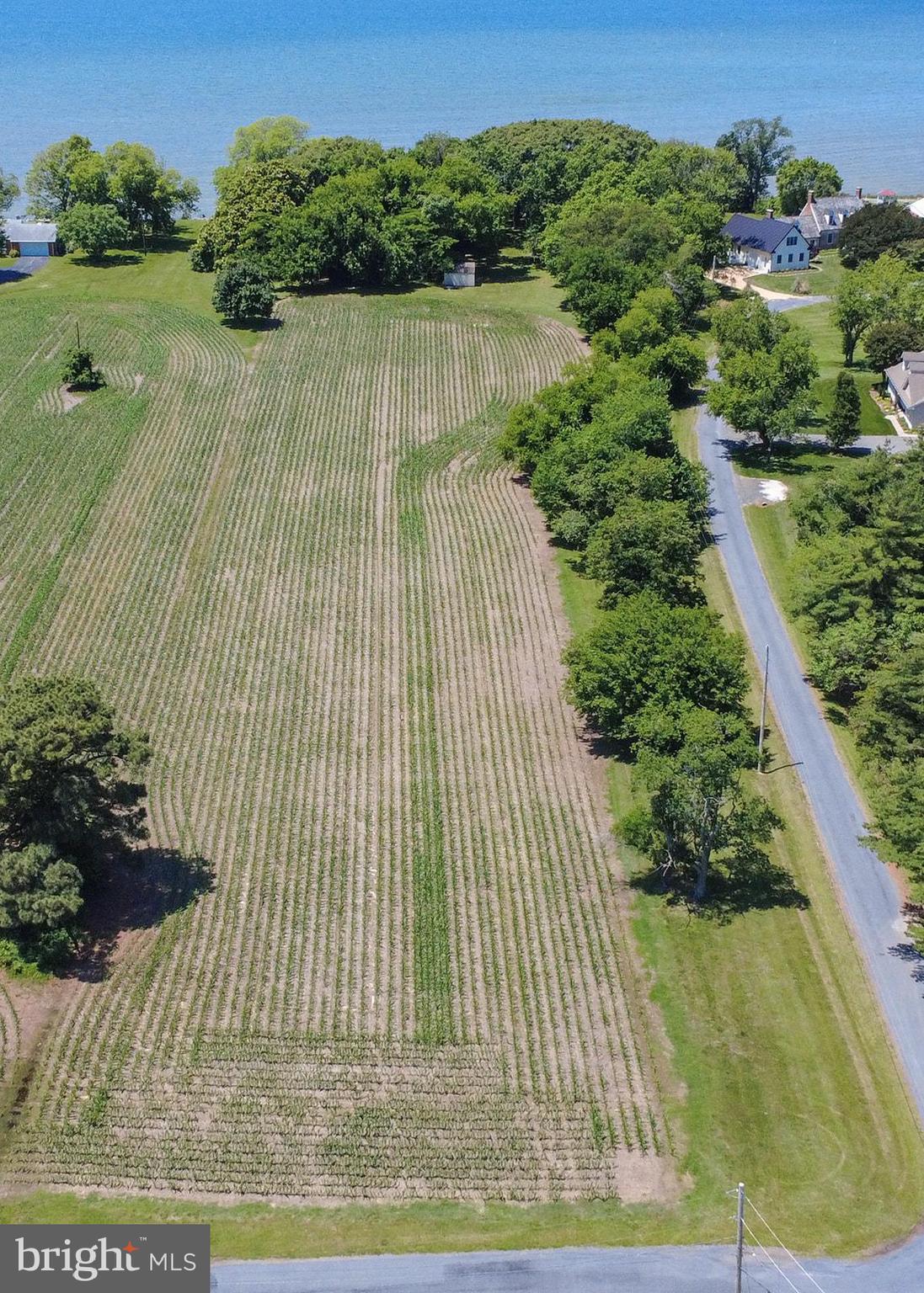 Curley Ridge, MD 20680 - Photo 6 of 12