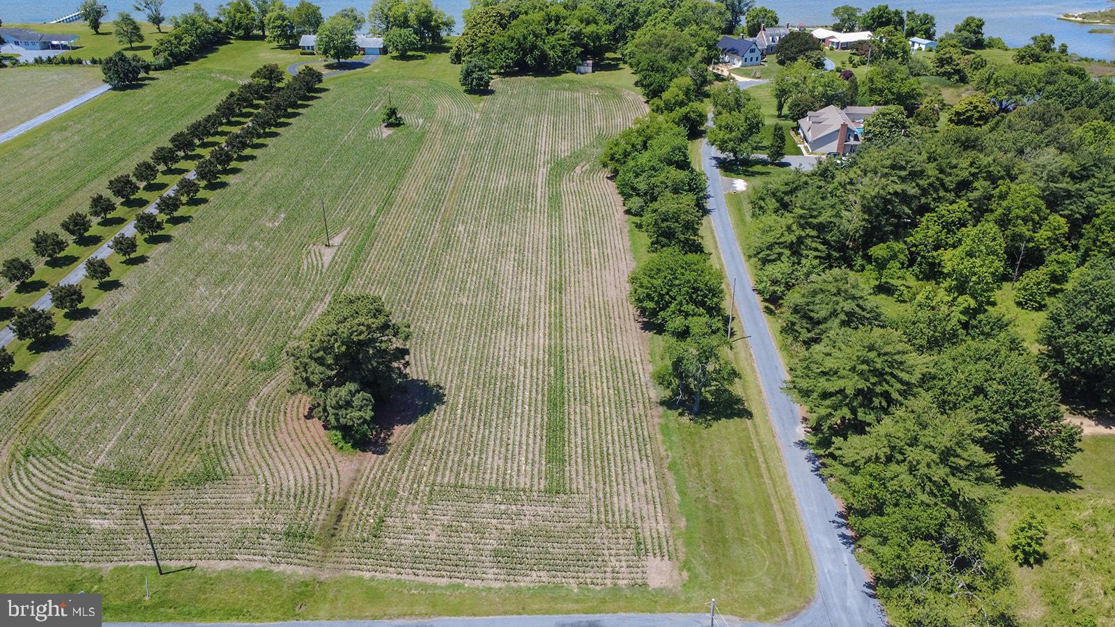 Curley Ridge, MD 20680 - Photo 8 of 12