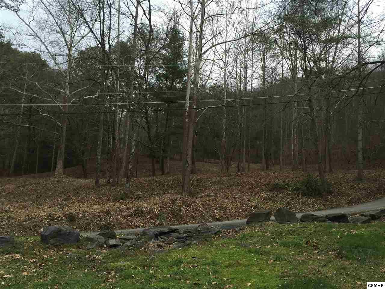 1 Wears Valley Road Sevierville, TN 37862 - Photo 3 of 6