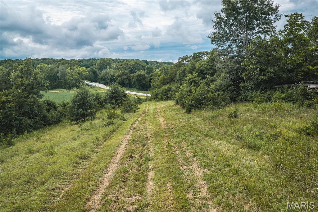 0 State Highway Rutledge, MO 63563 - Photo 11 of 28 Gallery Image 11
