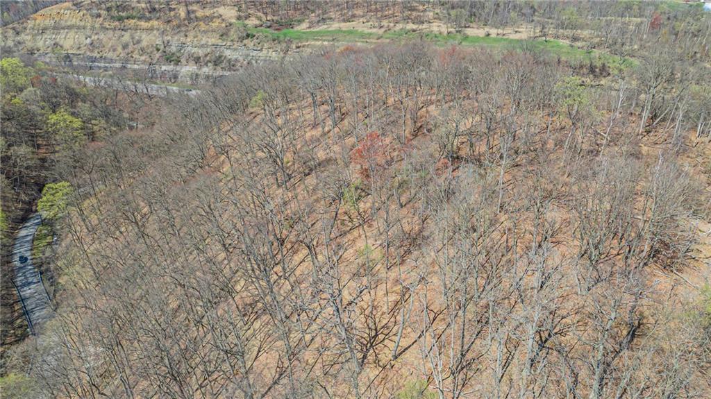 a view of a lake with a dry yard