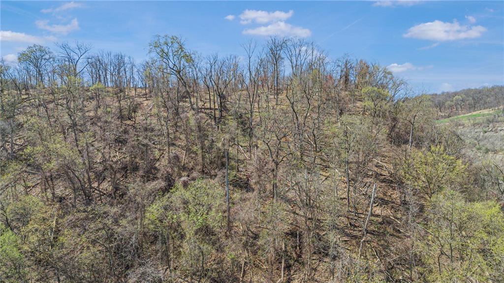 550 Division Lane Beaver, PA 15009 - Photo 2 of 11 a view of a yard