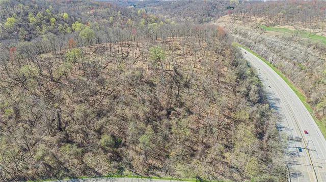 a view of a dry yard with trees