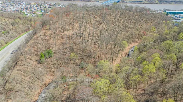 a view of a pathway both side of yard