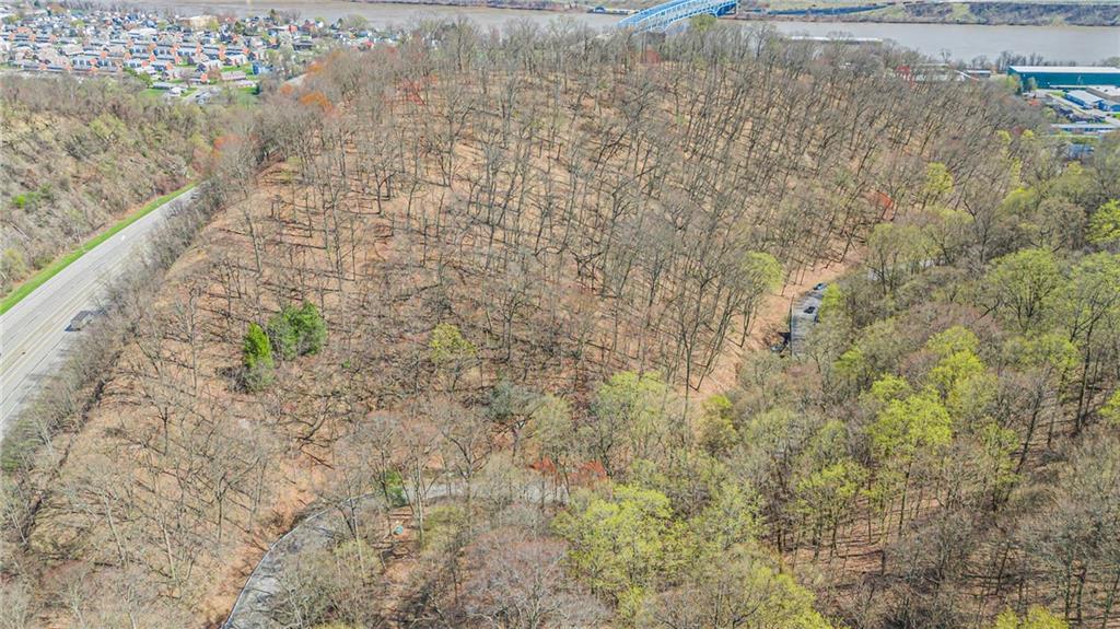 550 Division Lane Beaver, PA 15009 - Photo 5 of 11 a view of a pathway both side of yard