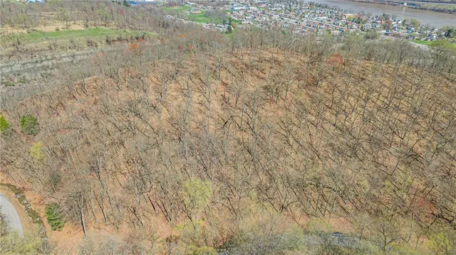 a close up of a plant with a shower