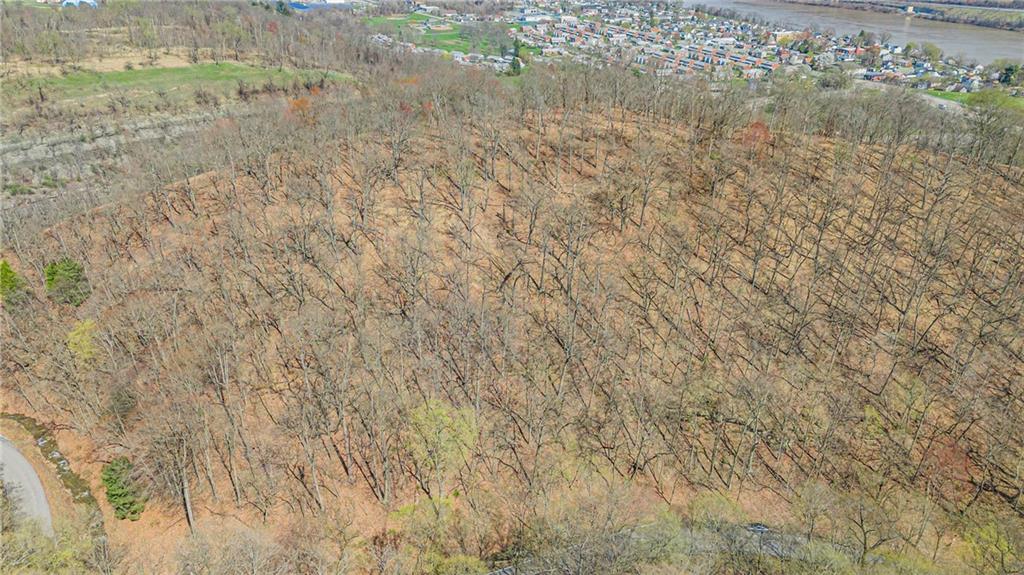 550 Division Lane Beaver, PA 15009 - Photo 7 of 11 a close up of a plant with a shower