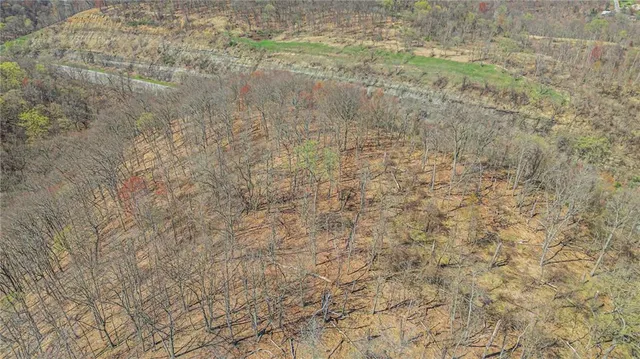 a view of a pathway with a yard