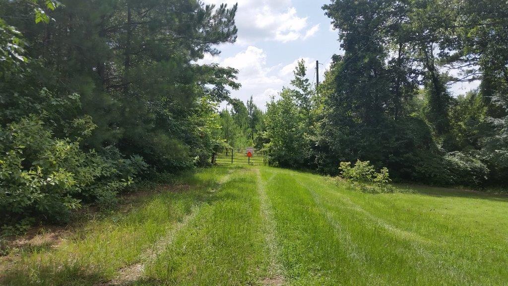 0 Mundy Loop Colfax, LA 71417 - Photo 1 of 7 Gallery Image 1
